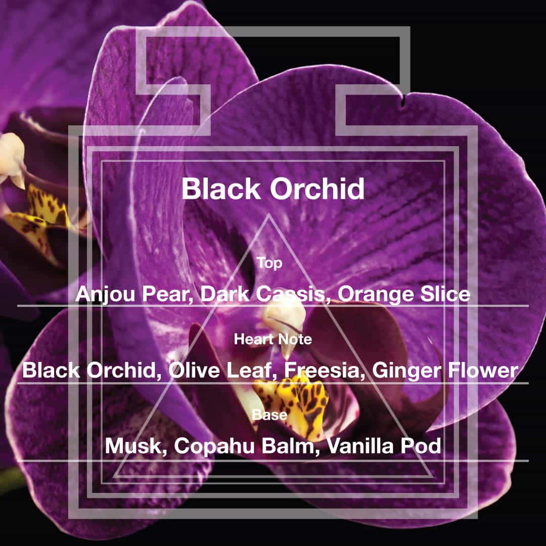 Pairfum Fragrance Triangle Black Orchid Pear Freesia Vanilla Musk Heart Notes in Fragrance