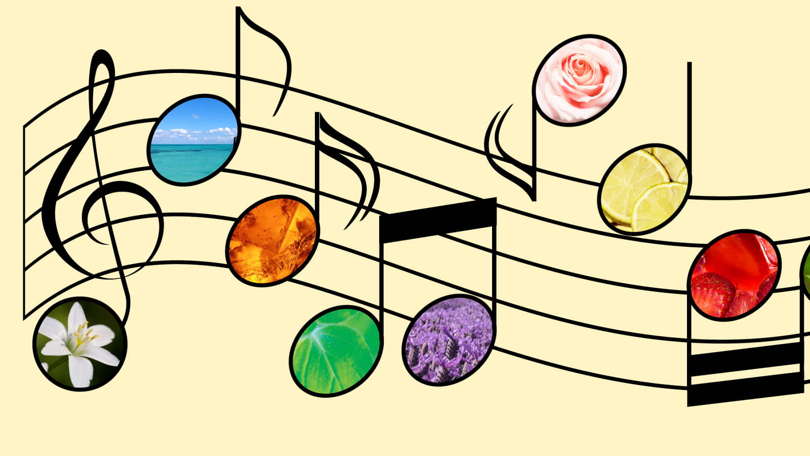 Perfume Fragrance Accord Melody Chorus Refrain 16 9