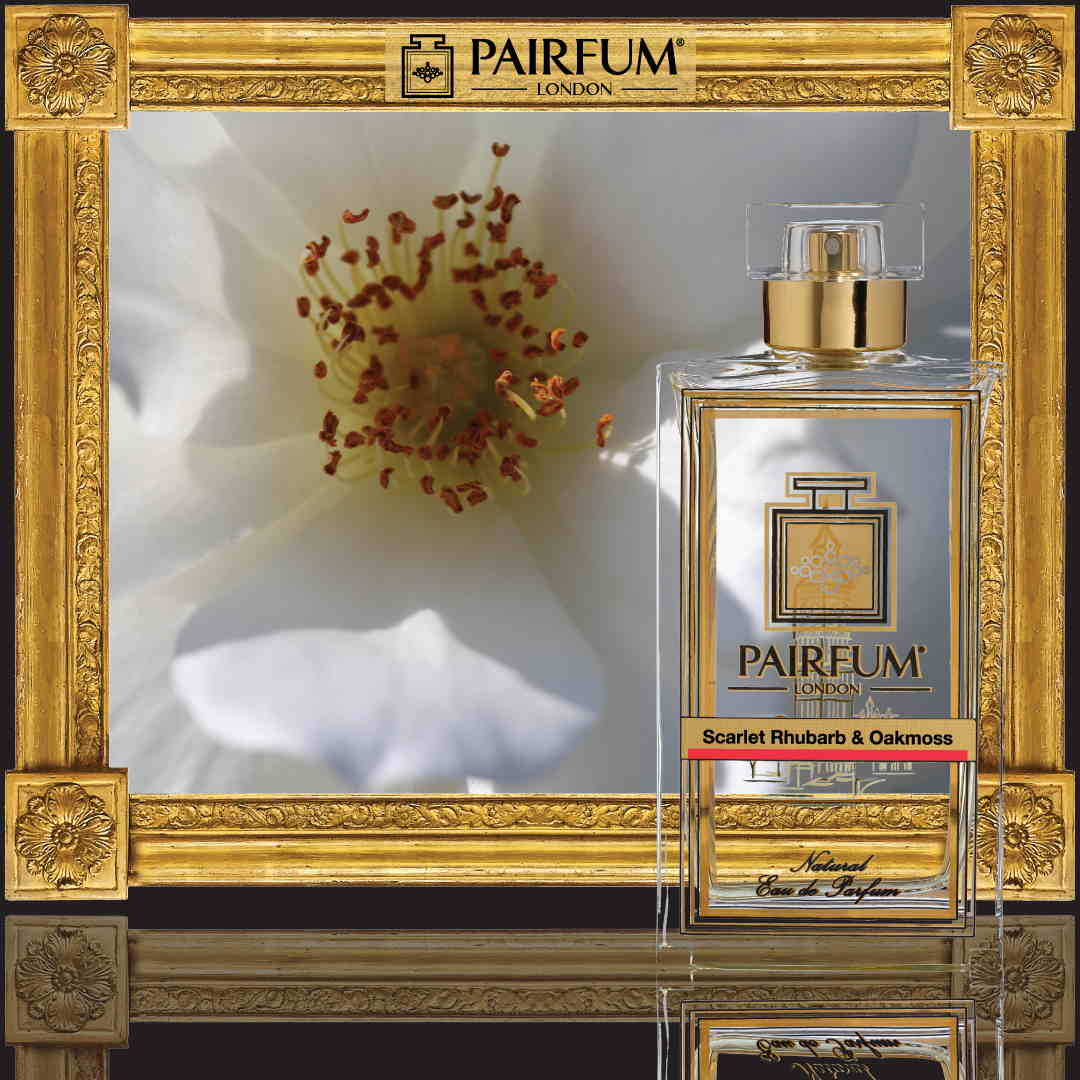 Parfum Frame Ingredient Scarlet Rhubarb Oakmoss Gardenia Classic perfume is art