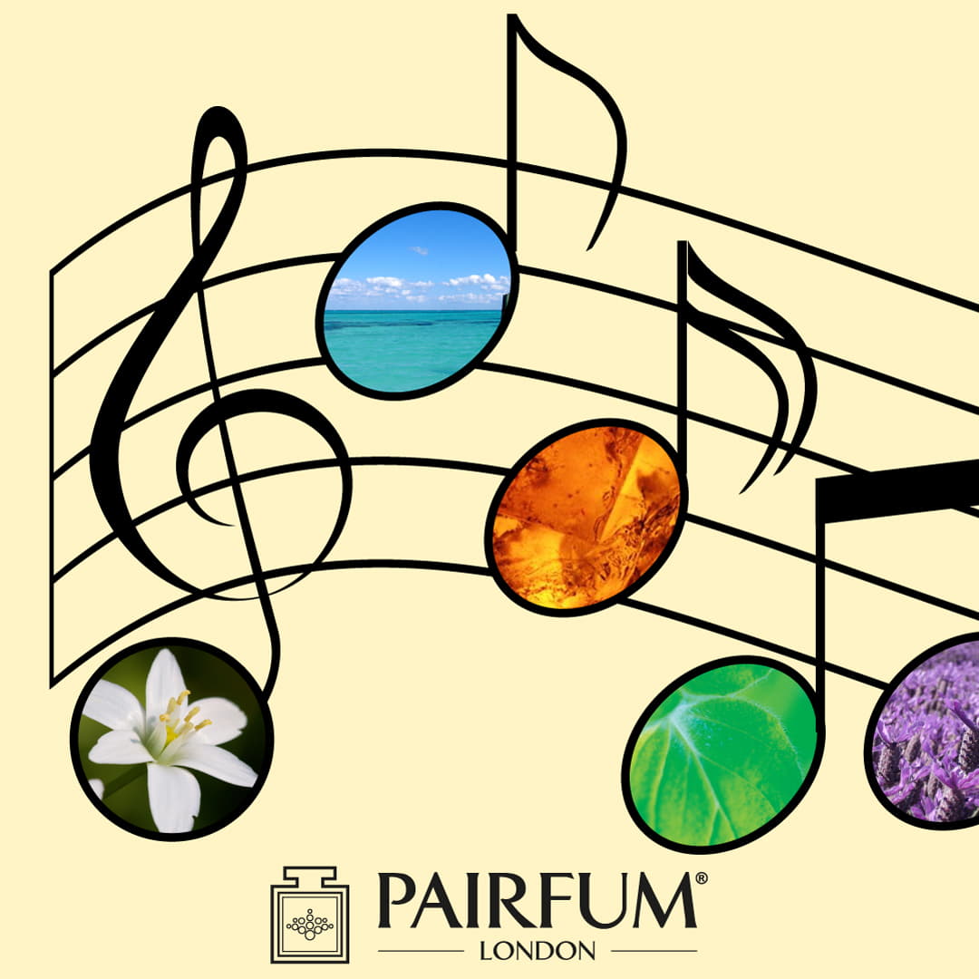 Perfume Fragrance Accord Melody Chord Chorus Refrain 1 1