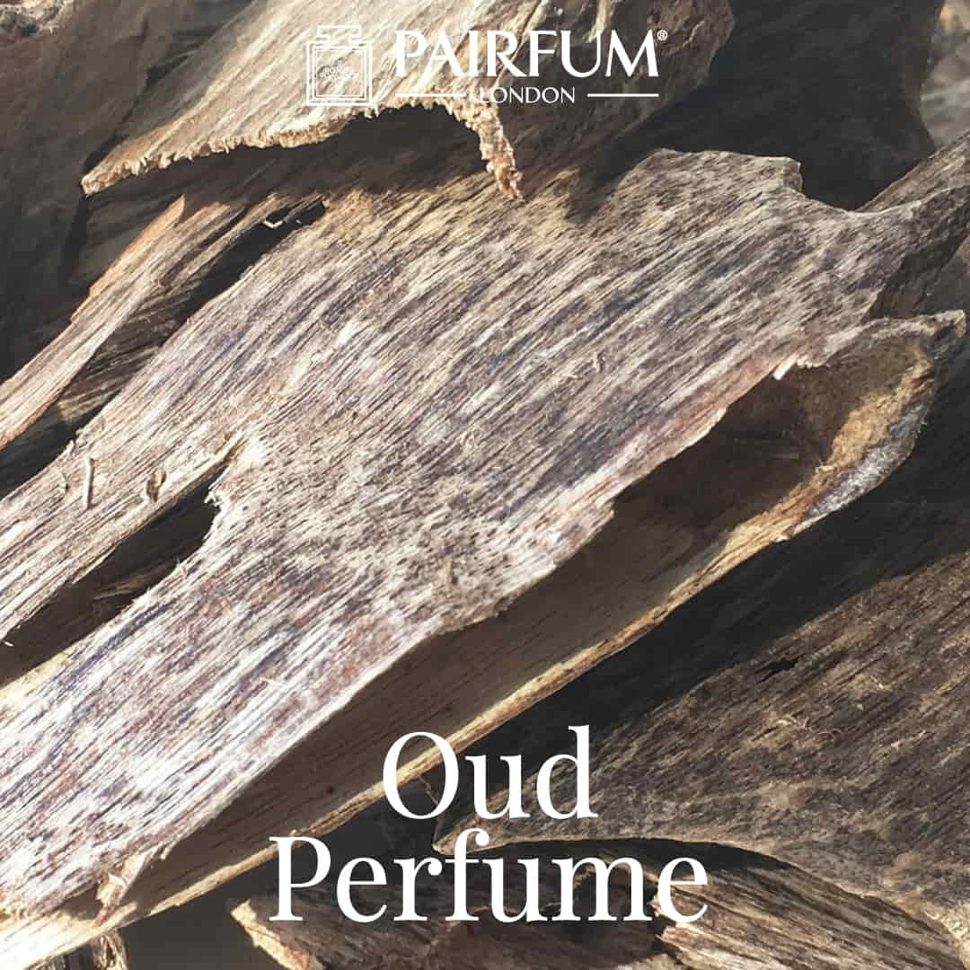 Pairfum London Fragrance of Oud Perfume Arabic Fragrance