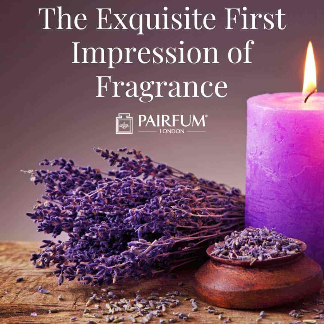 An Introduction To Top Notes In Perfume