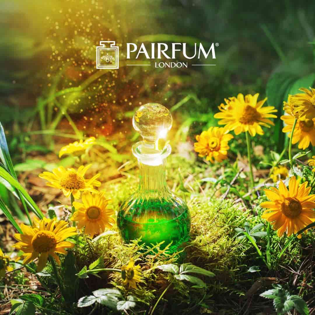 Elixir Fragrance Notes