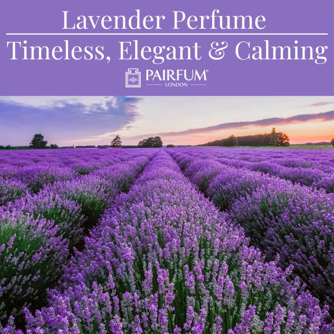 Lavender Perfume