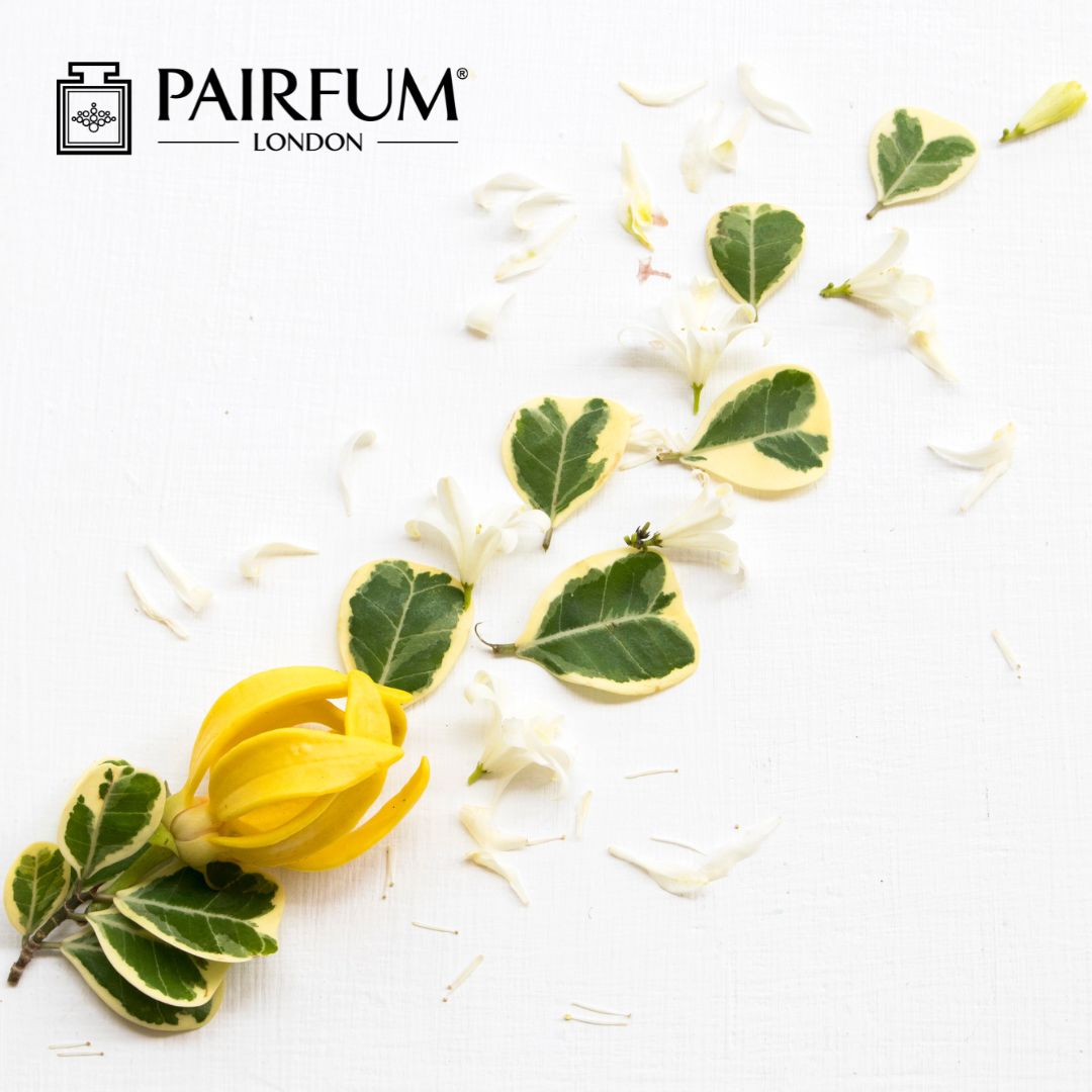 Jasmine & Ylang Ylang Petals