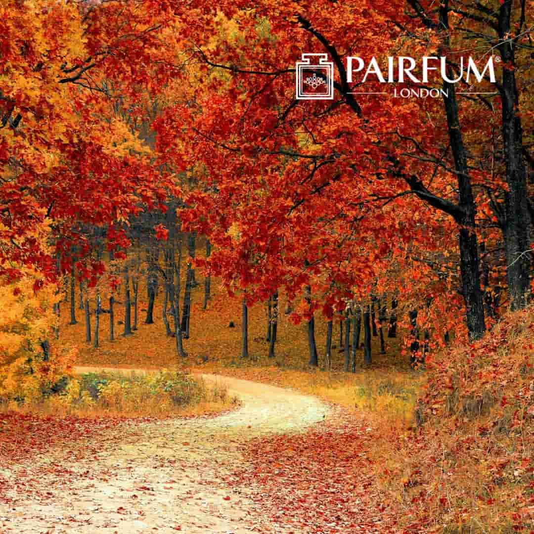 Autumn Perfume Landscape