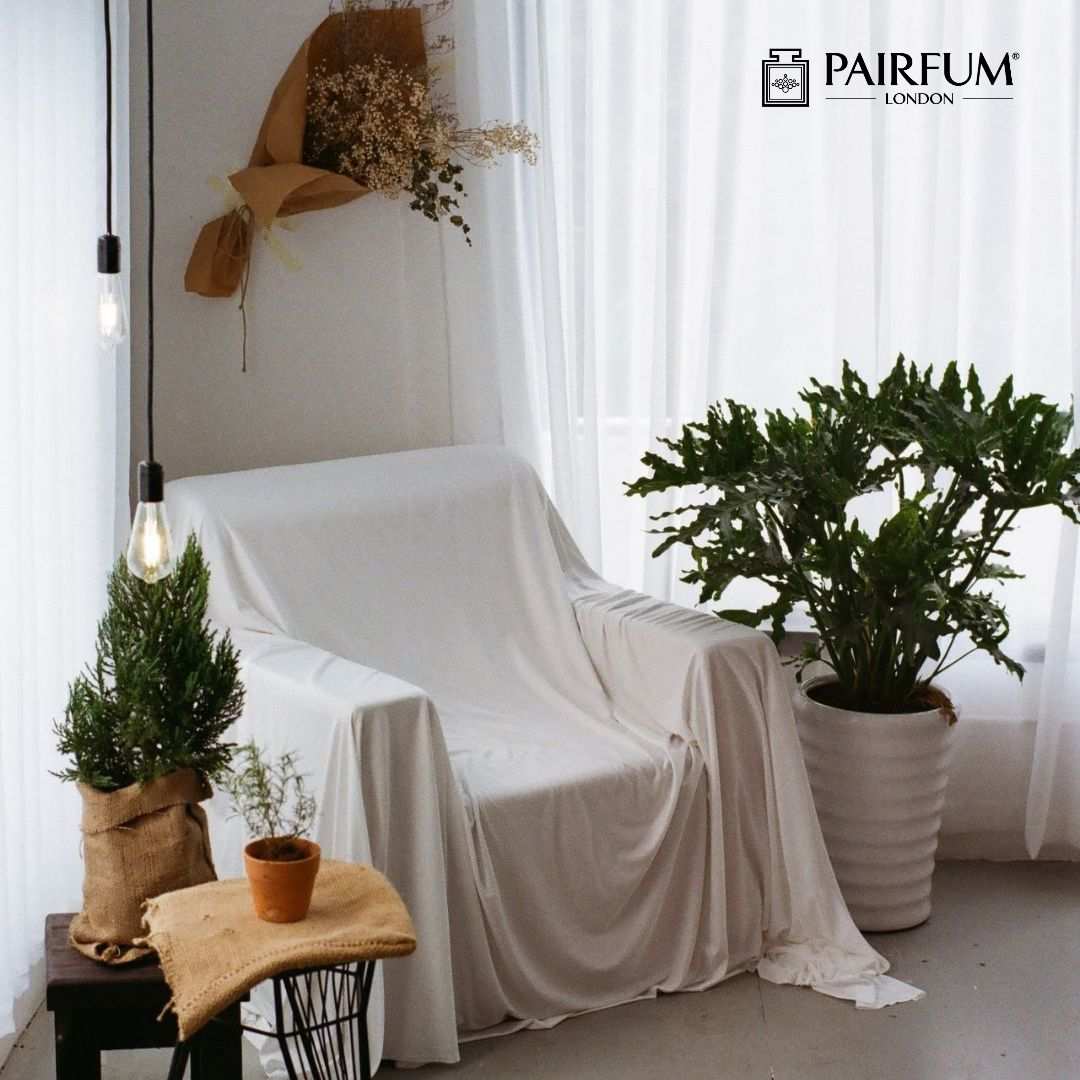 Clean Home Scent