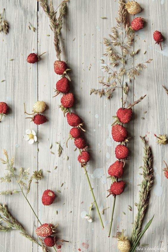 Scandinavian Picnic Midsummer Wild Strawberries Restored Scandinavian Picnic Midsummer Wild Strawberries