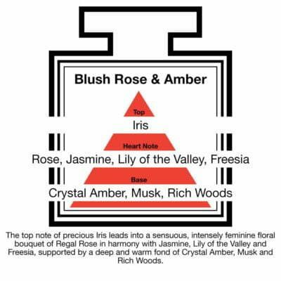 Fragrance Description Blush Rose Amber Jasmine Freesia Wood