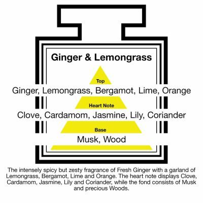 Fragrance Description Ginger Lemongrass Clove Cardamom Coriander Wood