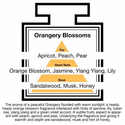 Fragrance Description Orangery Blossoms Apricot Ylang Honey Sandalwood