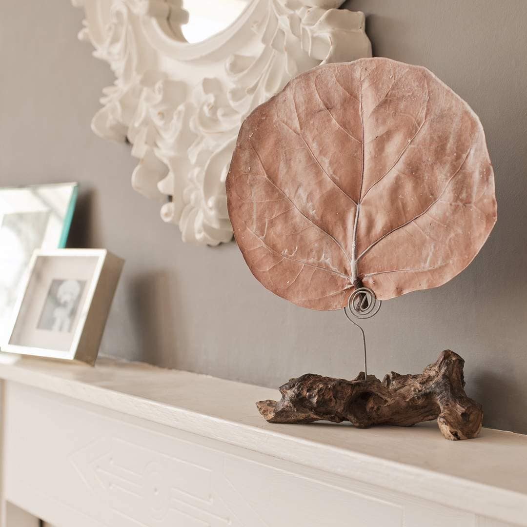 Lifestyle Natural Room Fragrance Canopy Infusion Diffuser