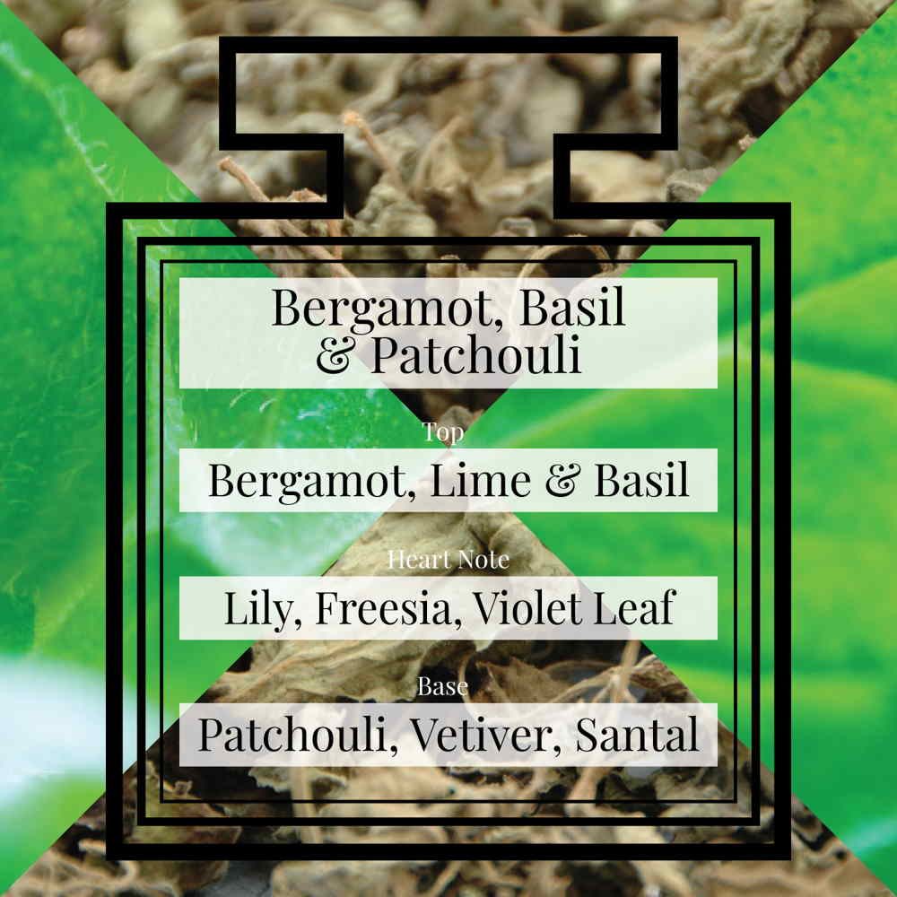 Pairfum Fragrance Bergamot Basil Patchouli Triangle Pairfum Fragrance Bergamot Basil Patchouli Triangle