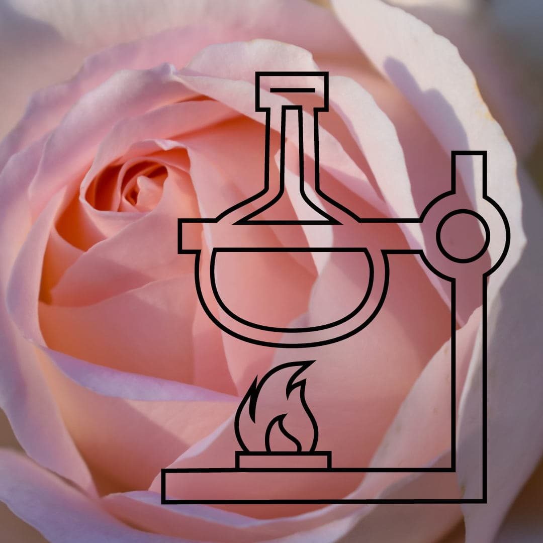 Pairfum Perfumery With IQ Science Experiment Distill 1 1