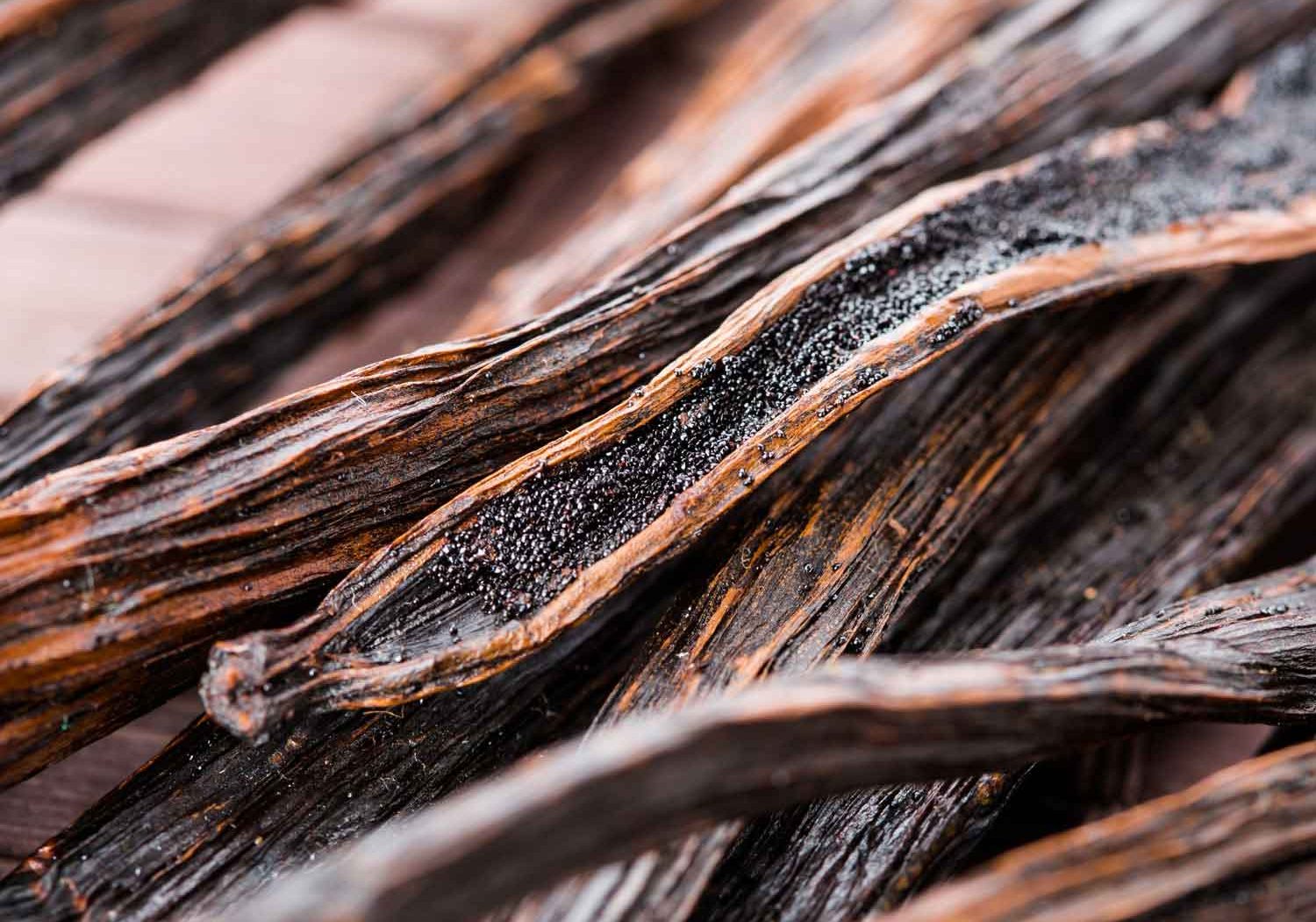 Vanilla Bean Pod Wood Liquid Oriental Vanilla Bean Pod Wood Liquid Oriental