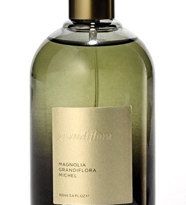 Magnolia Grandiflora Michel Magnolia Grandiflora Michel