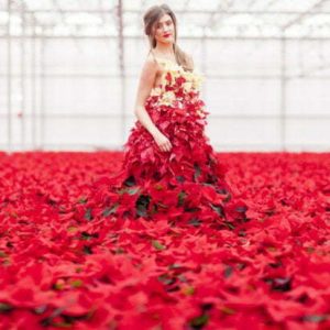 PAIRFUM Poinsettia Day Home Fragrance Flower Dress Standing