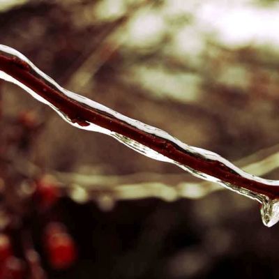 PAIRFUM natural reed diffusers branch icicle PAIRFUM natural reed diffusers branch icicle