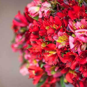Pairfum Perfume Candle Alstroemeria Red Pink Flowers Pairfum Perfume Candle Alstroemeria Red Pink Flowers