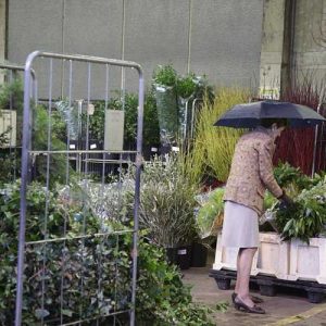 Pairfum Reed Diffuser British Flower Week Foliage Center Pairfum Reed Diffuser British Flower Week Foliage Center