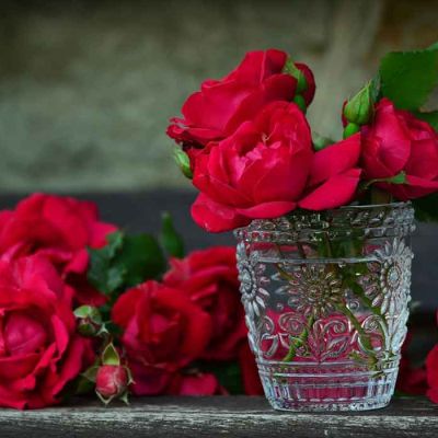 Instagram Feed by Pairfum Red Roses Vase