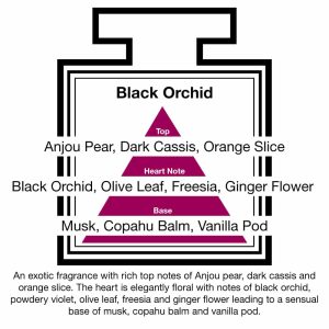 Fragrance Description Black Orchid Pear Freesia Vanilla Musk Fragrance Description Black Orchid Pear Freesia Vanilla Musk