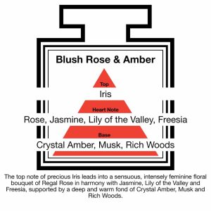 Fragrance Description Blush Rose Amber Jasmine Freesia Wood