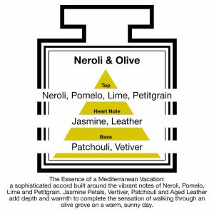 Fragrance Description Neroli Olive Pomelo Lime Leather Vetiver