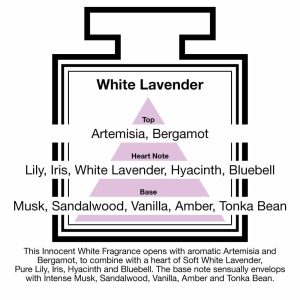 Fragrance Description White Lavender Artemisia Lily Musk Vanilla