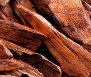 Sandalwood Reed Diffuser Bukhoor Sandalwood Reed Diffuser Bukhoor