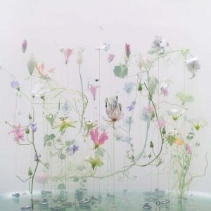anne ten donkelaar underwater ballet photo series 3 anne ten donkelaar underwater ballet photo series 3