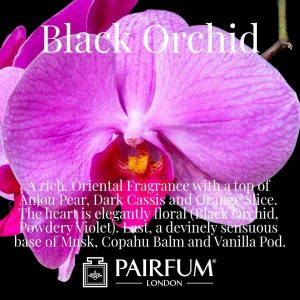 Black Orchid Pairfum London Orange Slice Copahu Balm