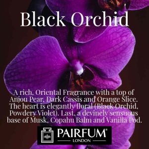 Black Orchid Pairfum London Vanilla Pear
