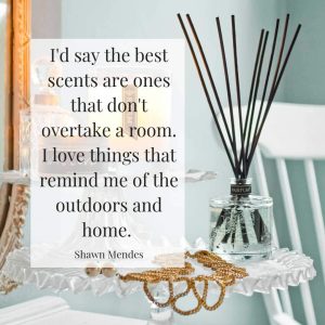 shawn mendes best scents room outdoors home shawn mendes best scents room outdoors home