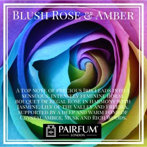 Blush Rose Amber Pairfum London Iris Freesia