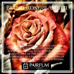 Blush Rose Amber Pairfum London Iris Woody