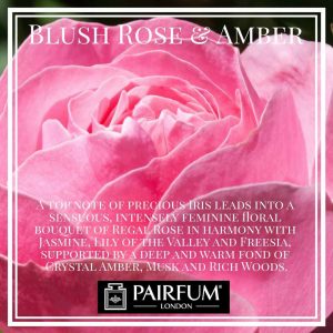 Blush Rose Amber Pairfum London Lily Valley