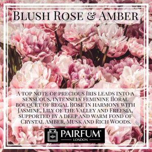 Pairfum London Blush Rose Amber Iris Jasmine Freesia Musk