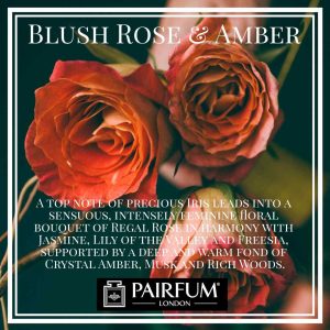 Pairfum London Blush Rose Amber Iris Jasmine Woody
