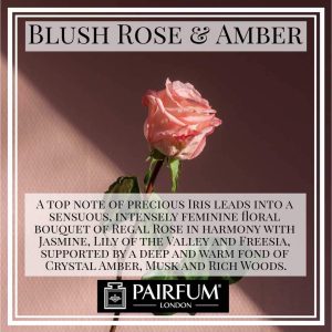 Pairfum London Blush Rose Amber Iris Woody
