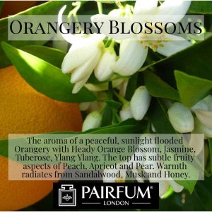 Pairfum London Heady Orange Blossom Honey Sandalwood