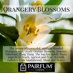 Pairfum London Orangery Blossoms Heady Orange Sandalwood