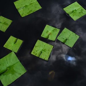 Baku Maeda Square Flower Leaf Art