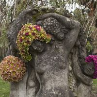 Pairfum The Seasons Niche Perfumery Flower Bust 015 Pairfum The Seasons Niche Perfumery Flower Bust 015