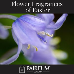 Flower Fragrances Of Easter Bluebell