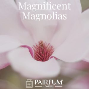 Magnificent Magnolias Windsor Park Perfume