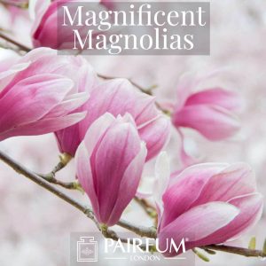 Perfume Magnificent Magnolias Windsor Park