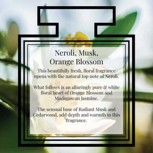 Pairfum Fragrance Neroli Musk Orange Blossom Description Pairfum Fragrance Neroli Musk Orange Blossom Description
