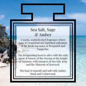 Pairfum Fragrance Sea Salt Sage Amber Description Pairfum Fragrance Sea Salt Sage Amber Description