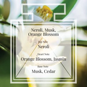 Pairfum Fragrance Neroli Musk Orange Blossom Triangle Ingredients Pairfum Fragrance Neroli Musk Orange Blossom Triangle Ingredients